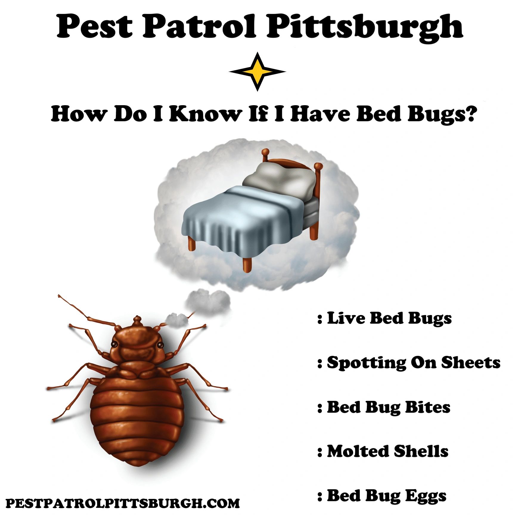 Do I Have Bed Bugs?